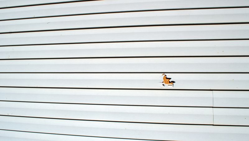 Vinyl Siding Repair Image 6