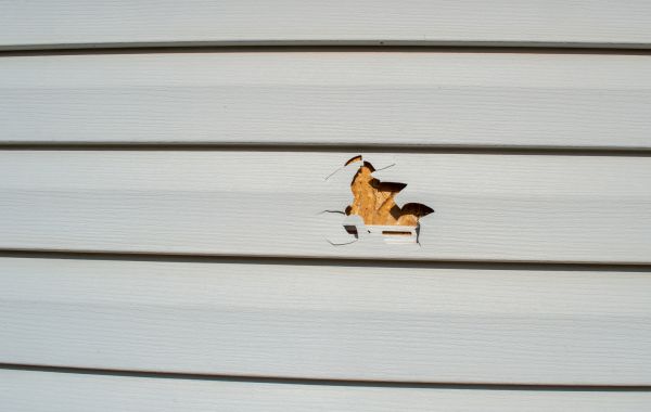 Siding Hole Patching in Auburn